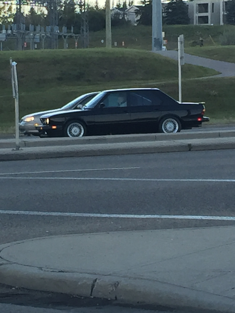 E24 M5